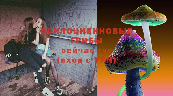 спиды Алексеевка
