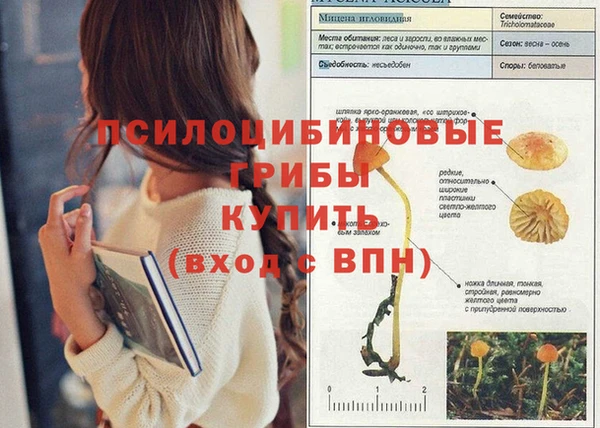 соль курить ск Алексин